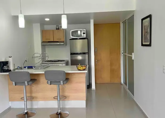 B204 - 1br - 1bth Apartment Mexico City